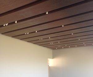 cielo living condor - copia