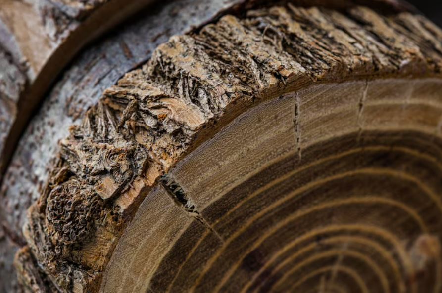 ¿Conocías estas tres propiedades de la madera? Te la enseñamos a continuación